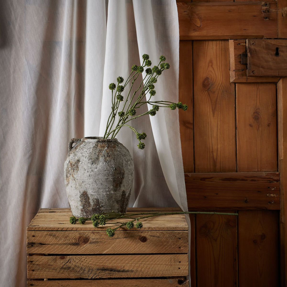 Green Craspedia Stem 60 cm