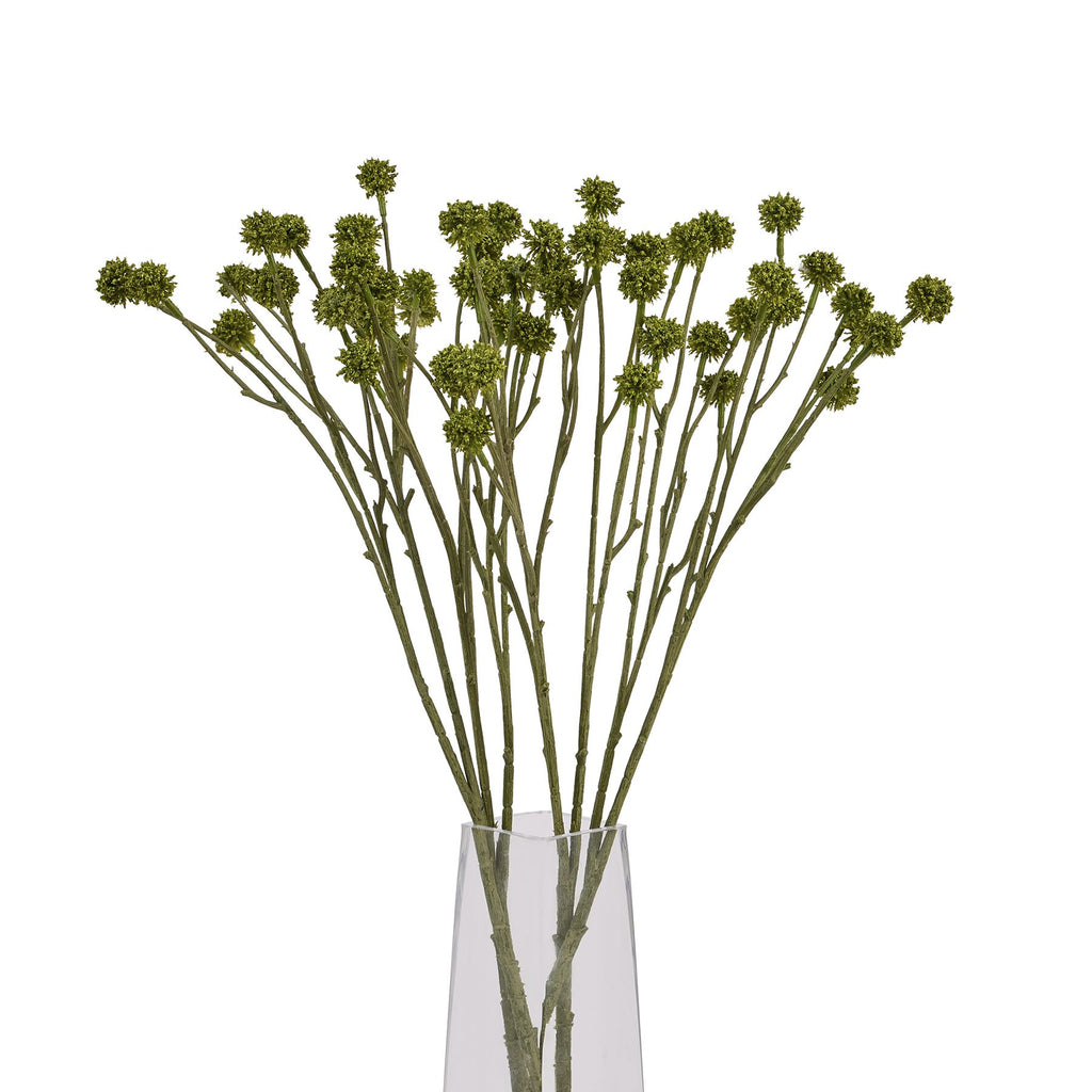 Green Craspedia Stem 60 cm