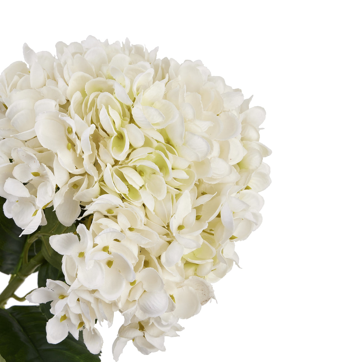 White Hydrangea Stem 58 cm