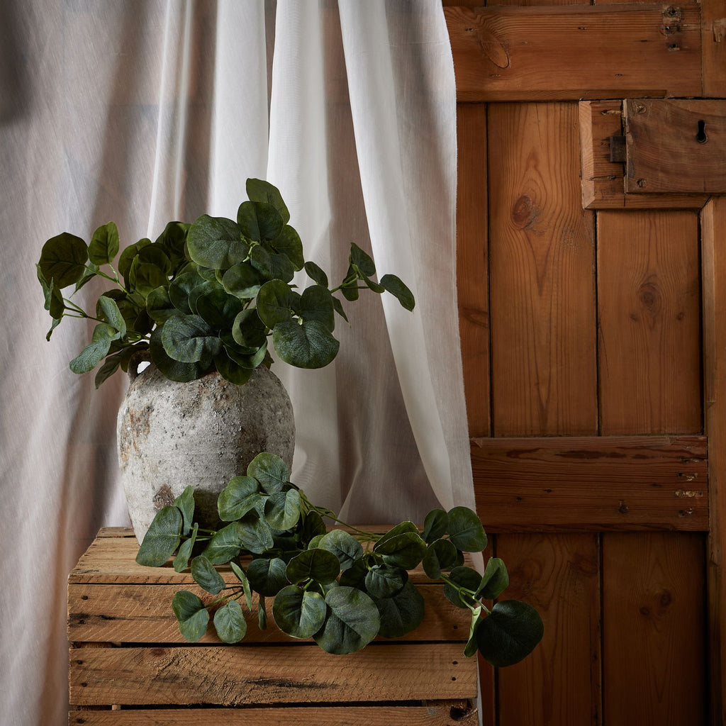 Short Eucalyptus Bunch 35 cm