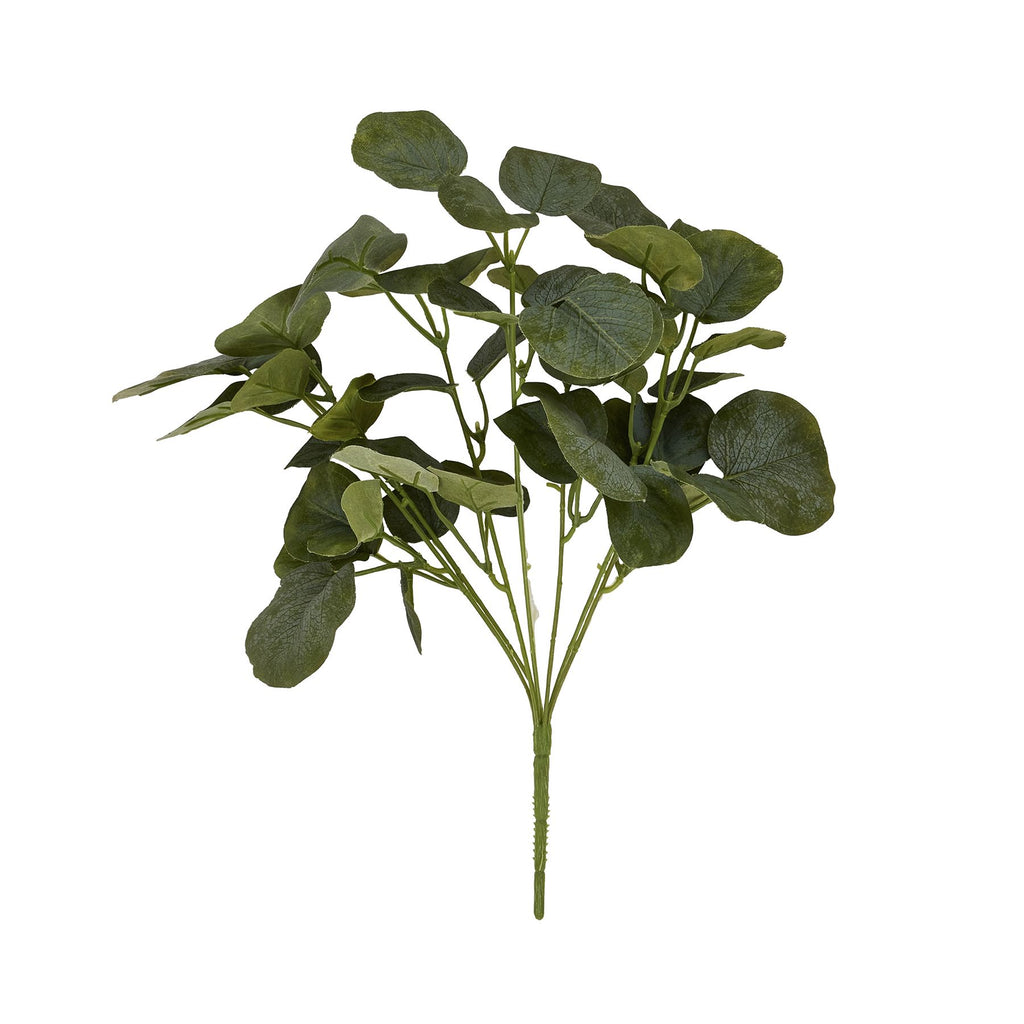 Short Eucalyptus Bunch 35 cm