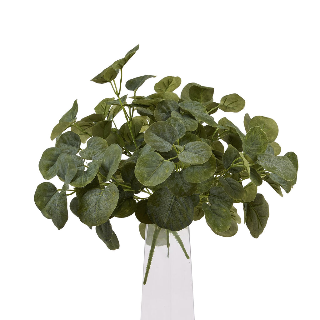 Short Eucalyptus Bunch 35 cm