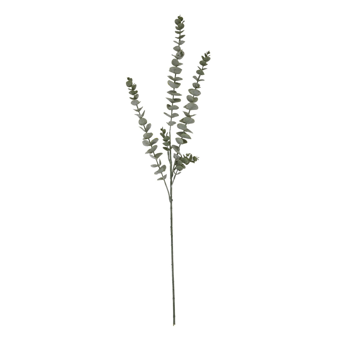 Gunnii Blue Eucalyptus Spray 90 cm