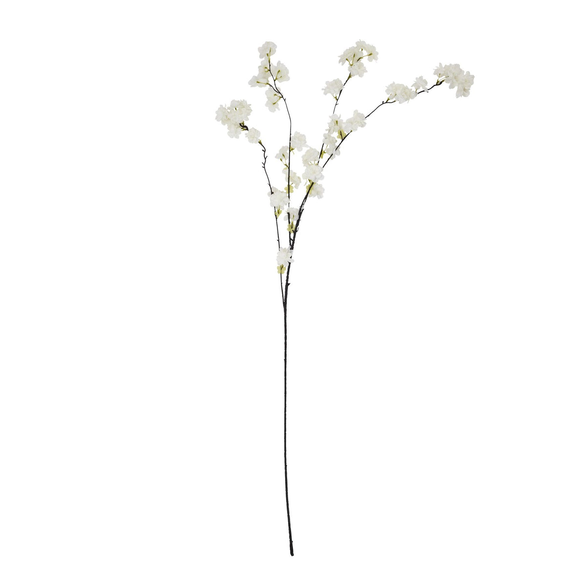 Large White Cherry Blossom Stem 100 cm
