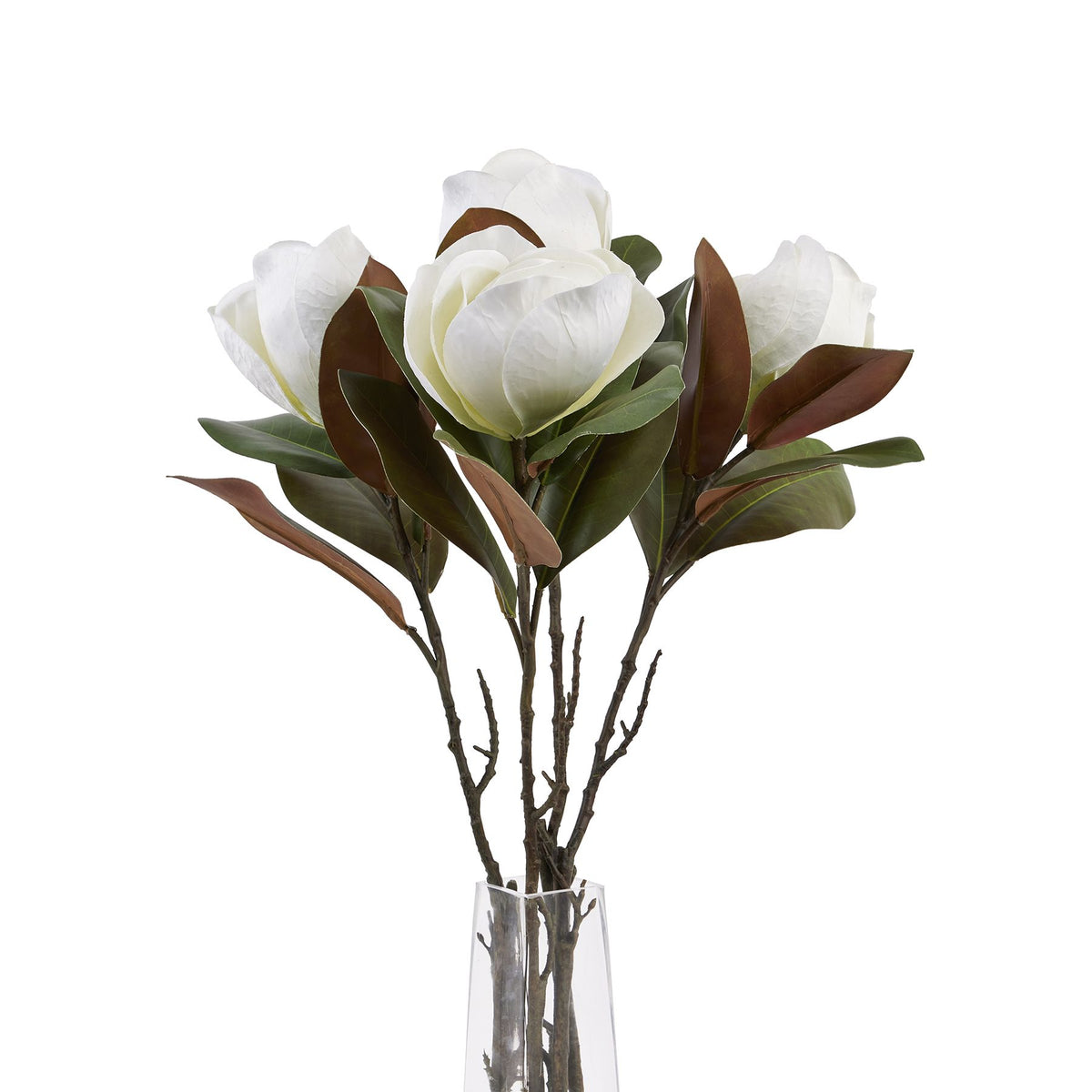 White Magnolia Stem 78 cm