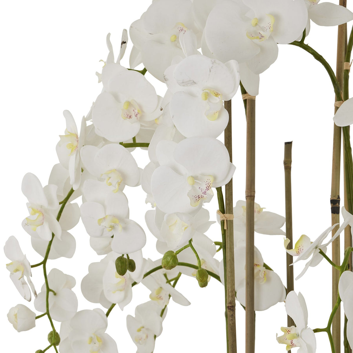 Large White Orchid In Antique Stone Pot 153 cm
