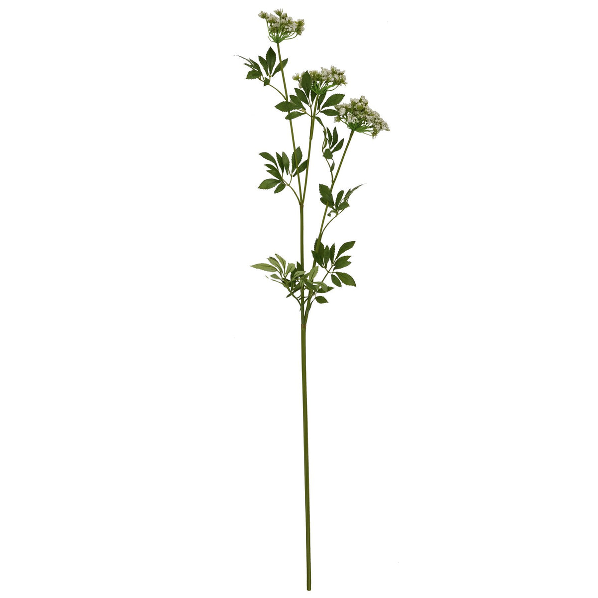 Faux White Cow Parsley Ammi 100 cm