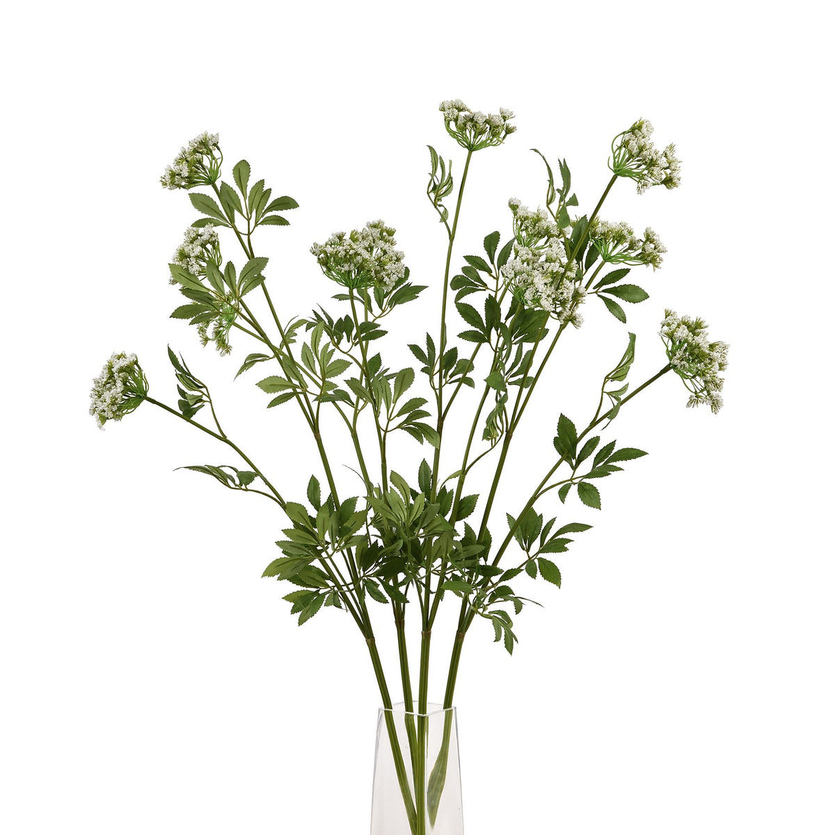 Faux White Cow Parsley Ammi 100 cm