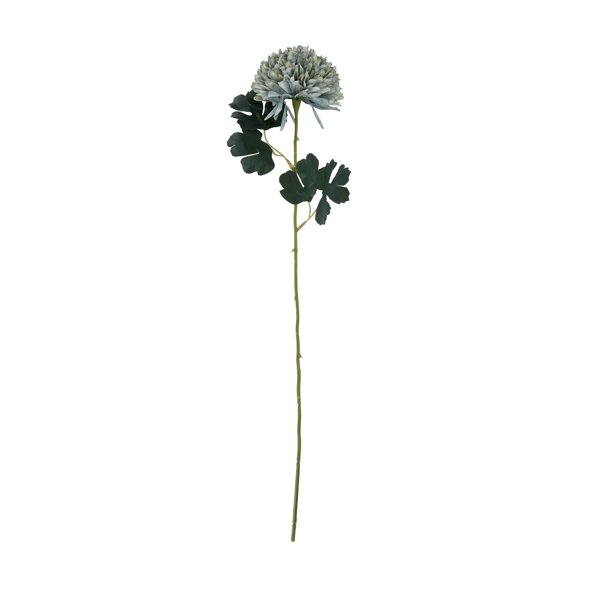 Pale Green Blue Chrysanthemum 54 cm