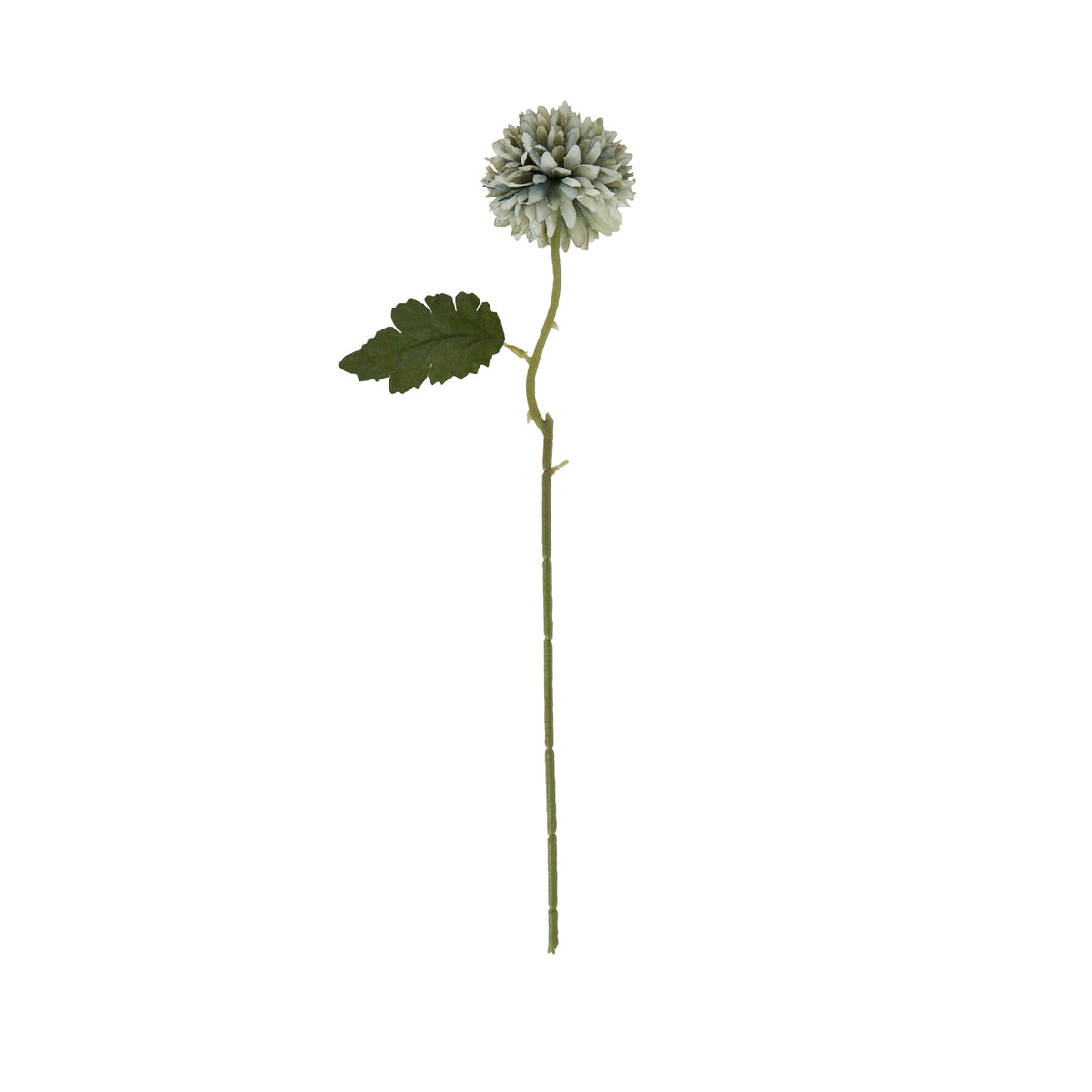 Pale Green Blue Short Chrysanthemum 38 cm