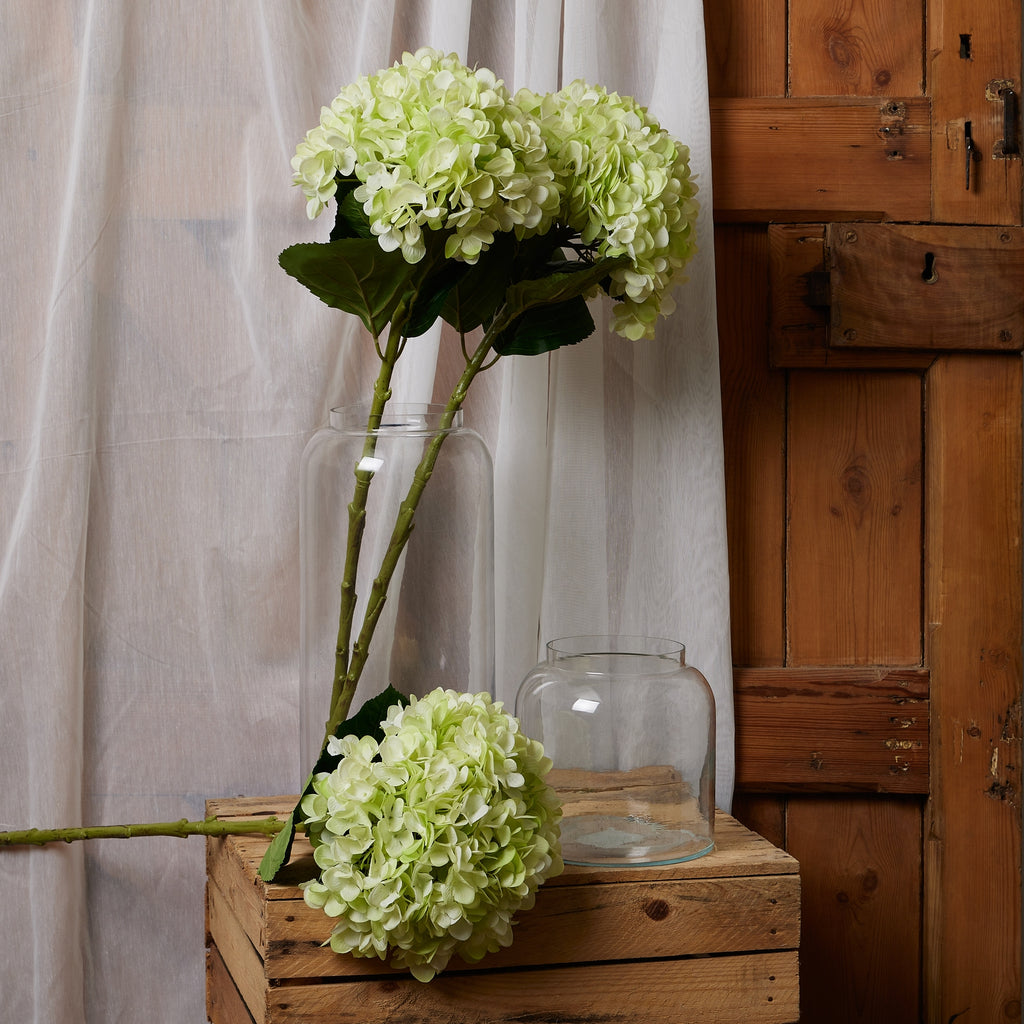 Oversized Green Hydrangea 73 cm