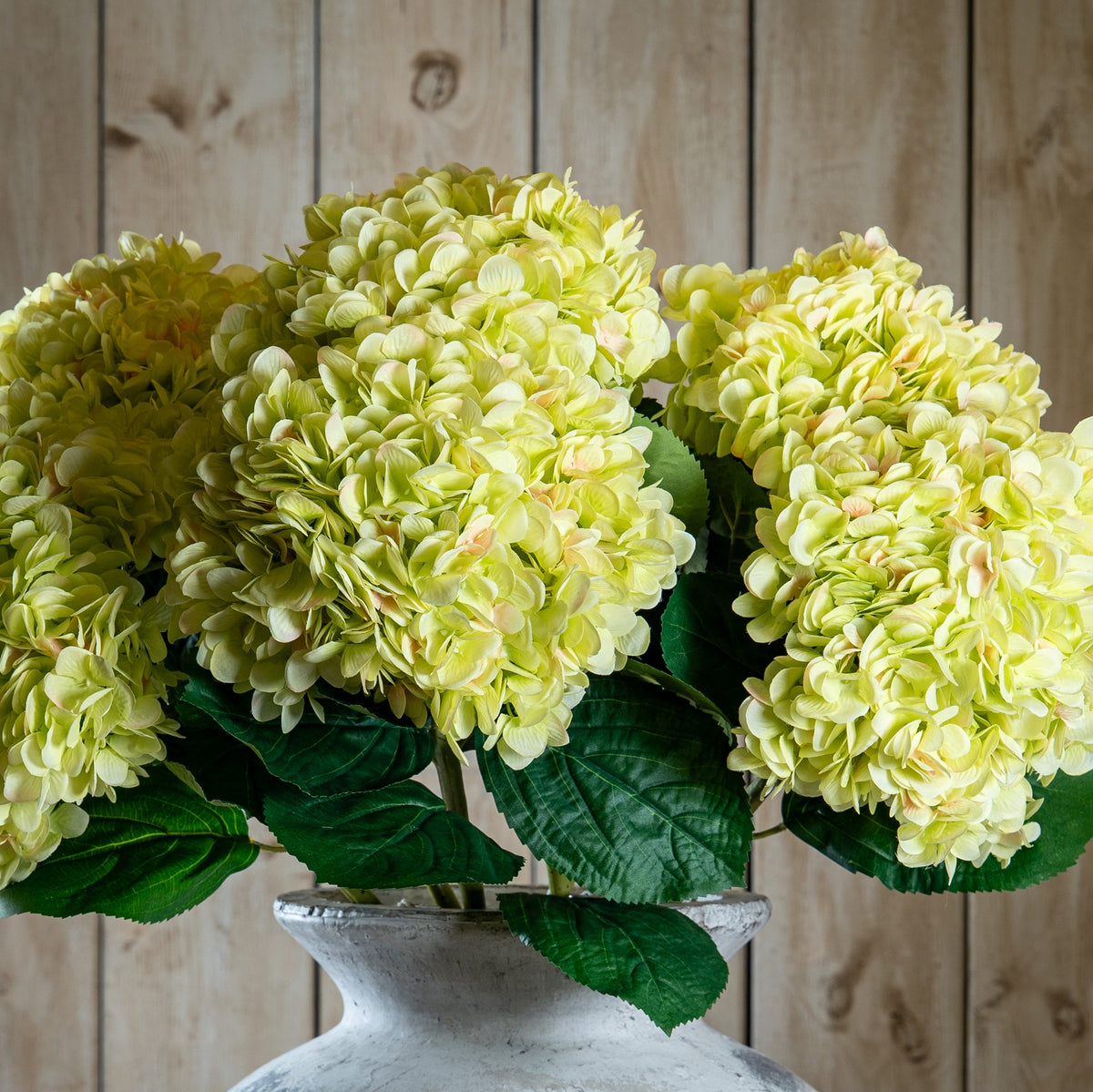 Oversized Green Hydrangea 73 cm