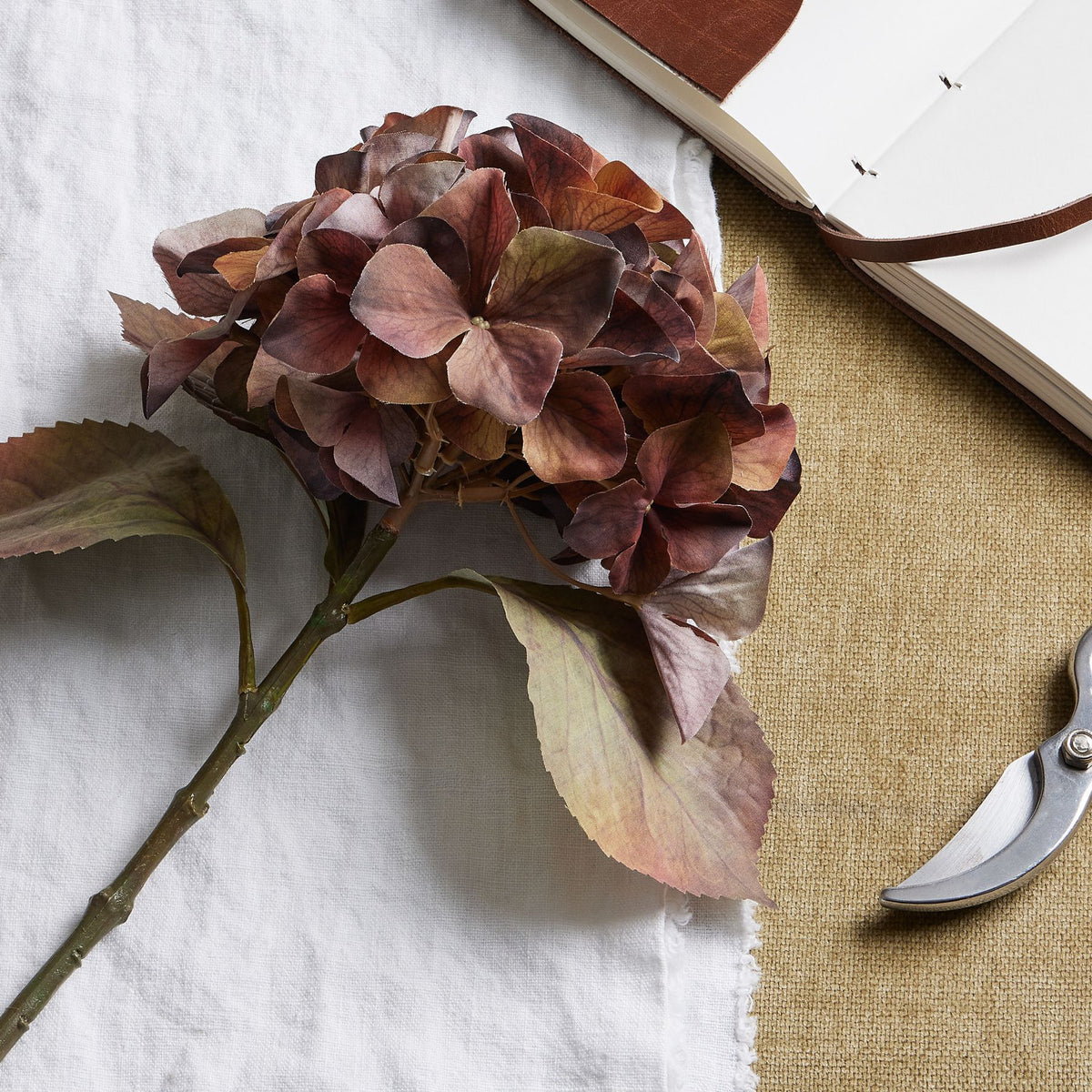 Mixed Autumn Browns Single Hydrangea Stem 50 cm