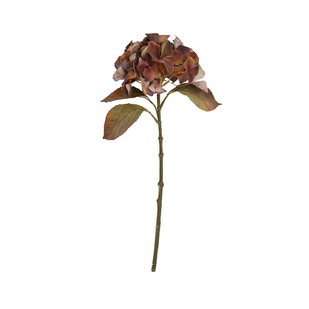 Mixed Autumn Browns Single Hydrangea Stem 50 cm