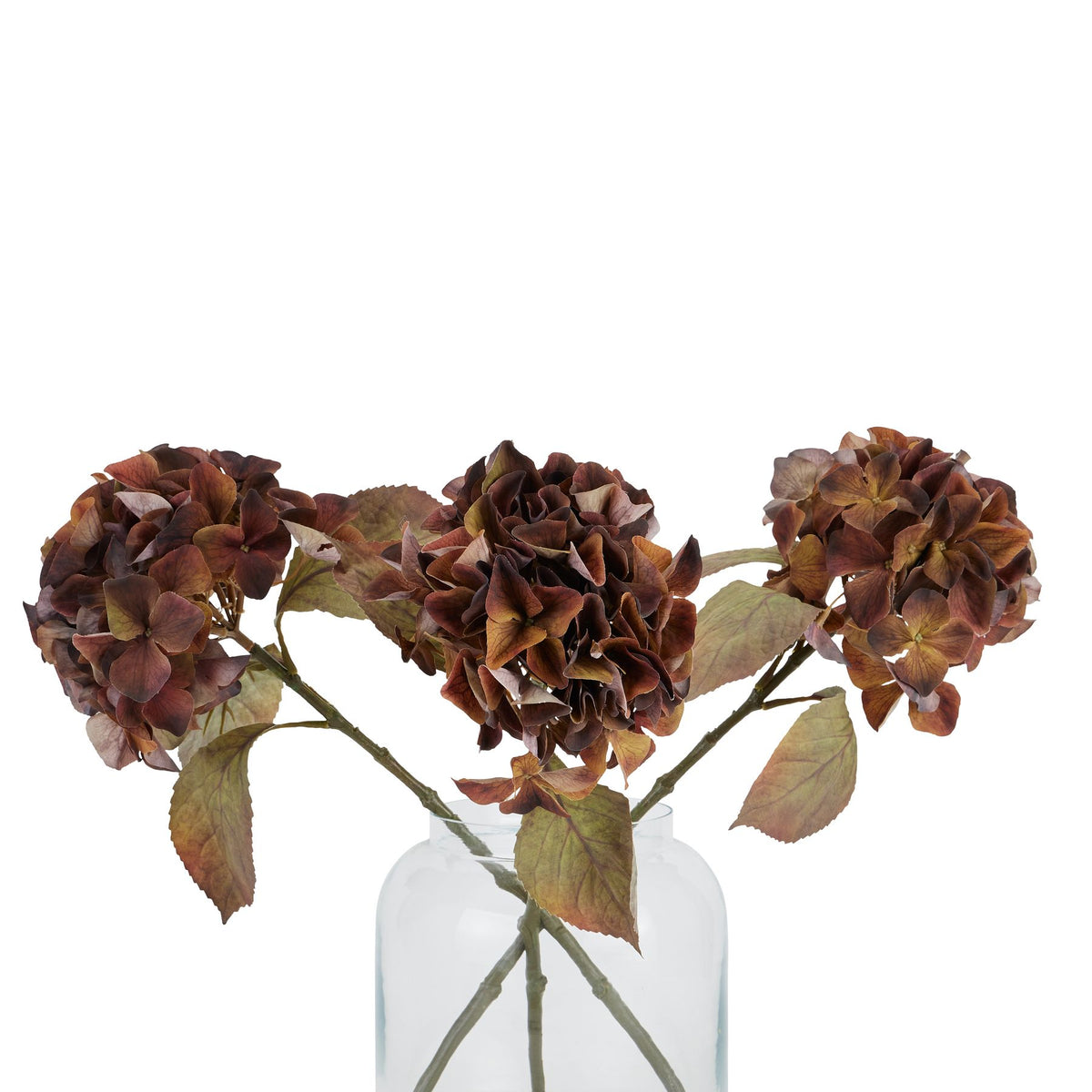 Mixed Autumn Browns Single Hydrangea Stem 50 cm