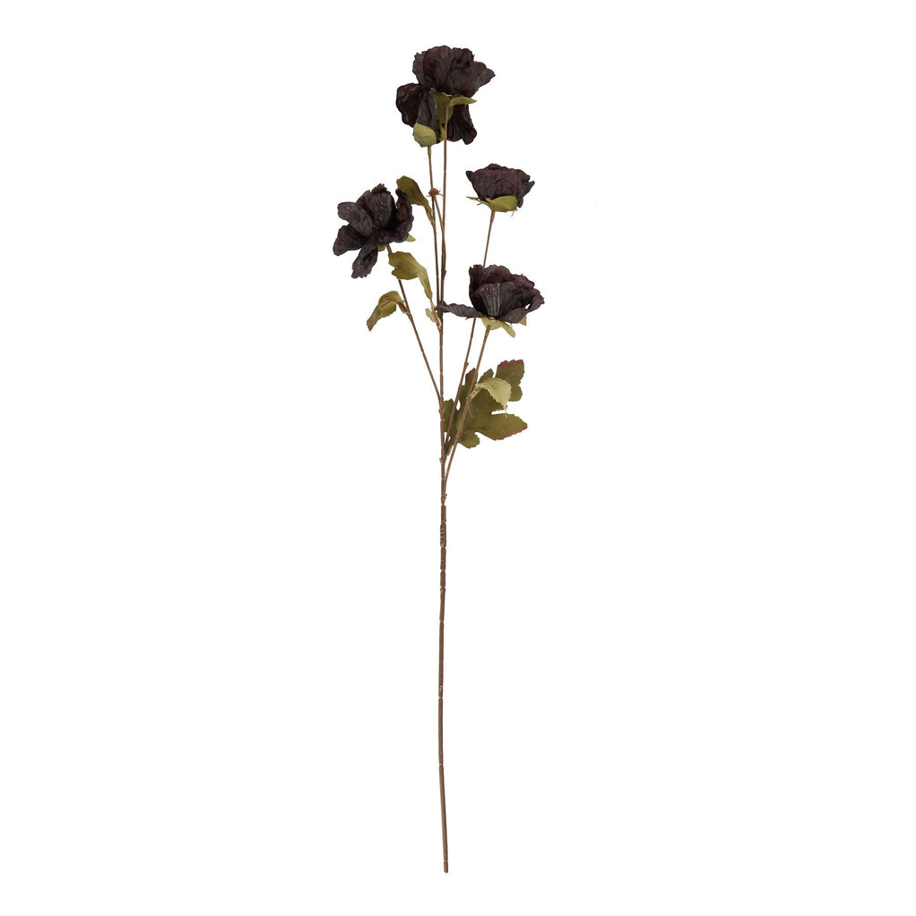 Tall Black Poppy Stem 83 cm