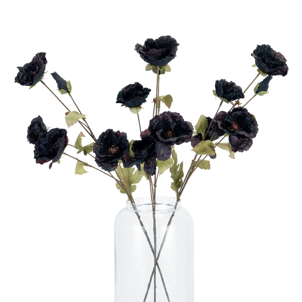 Tall Black Poppy Stem 83 cm