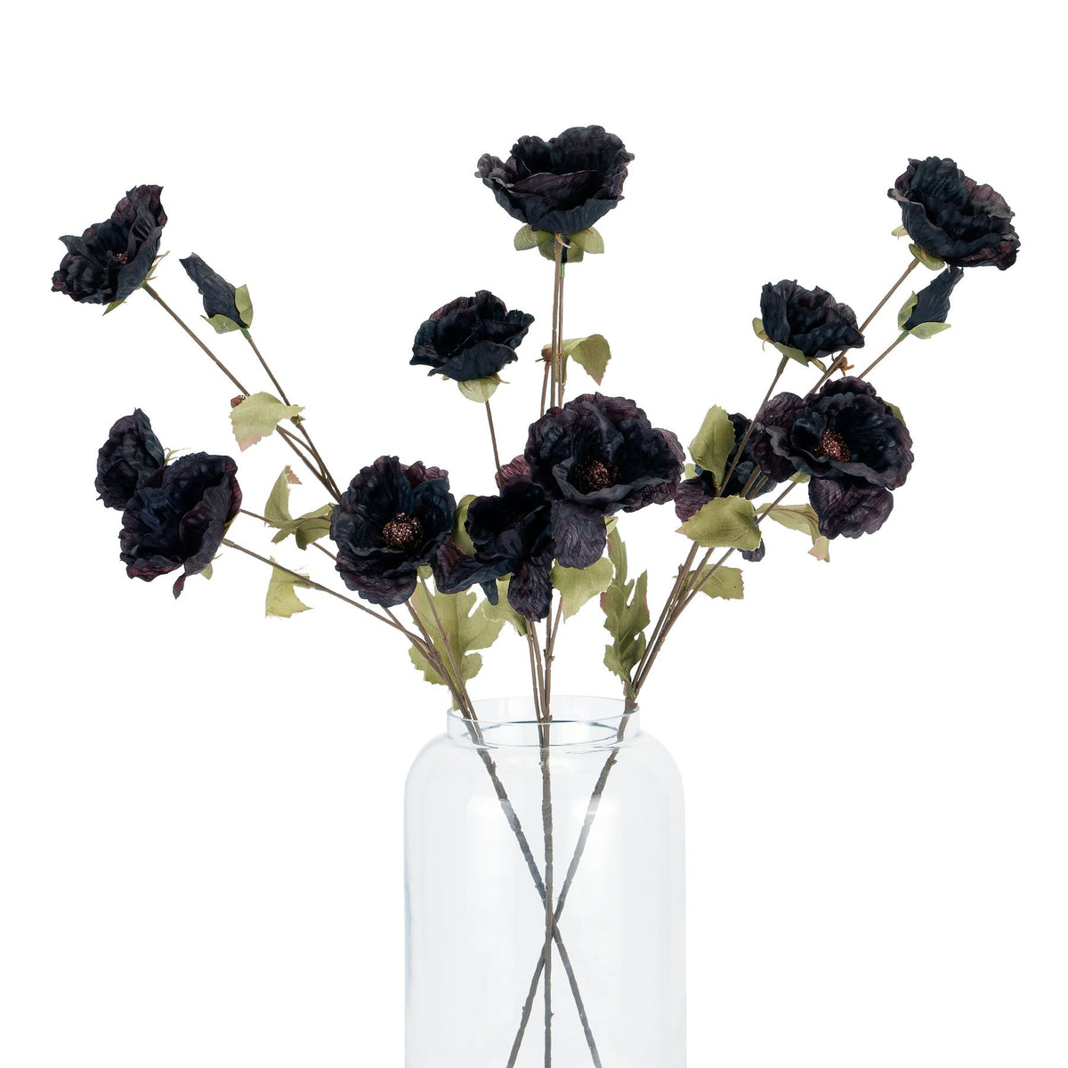 Tall Black Poppy Stem 83 cm