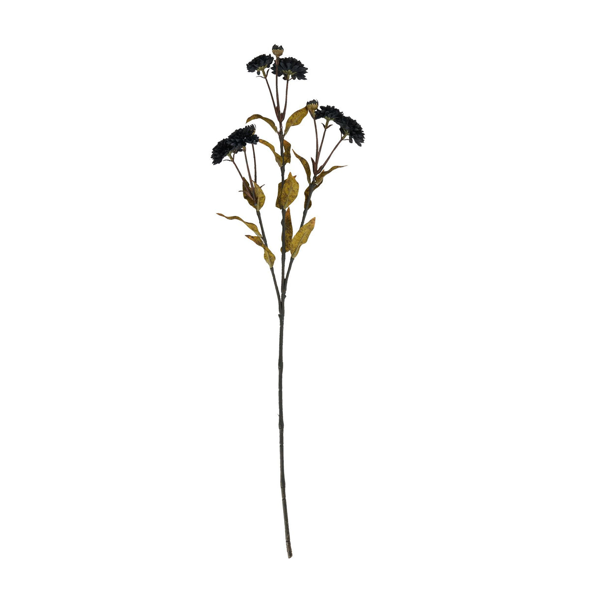 Black Chrysanthemum 65 cm