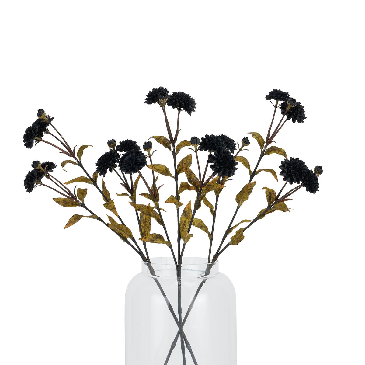 Black Chrysanthemum 65 cm