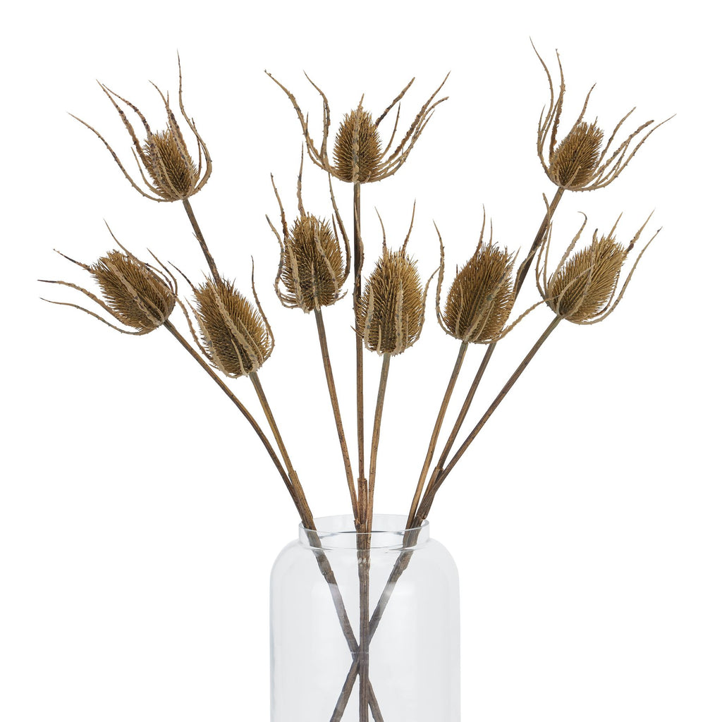 Large Brown Triple Teasle Stem 85 cm