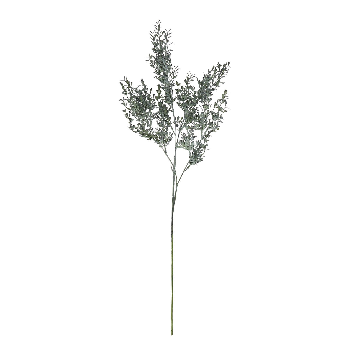 Blackened Grass Spray Stem 75 cm