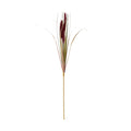 Ruby Triple Grass Stem 80 cm