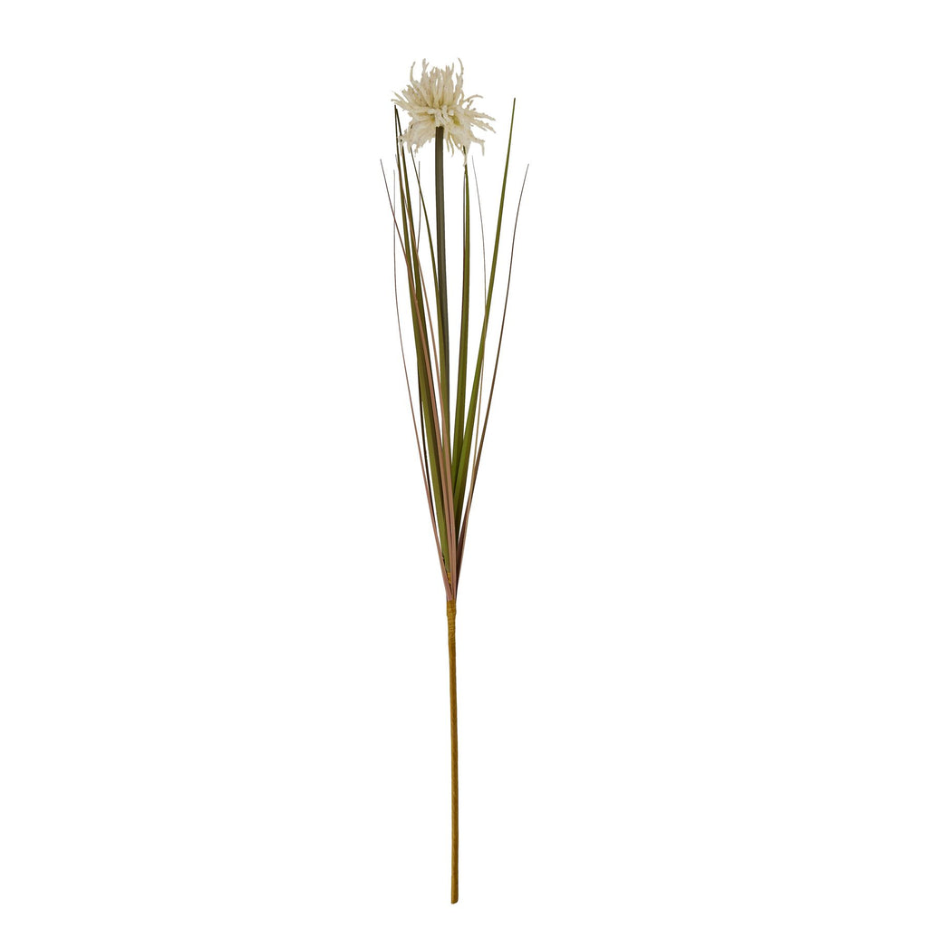 Cream Aster Spider Chrysanthemum Stem 80 cm