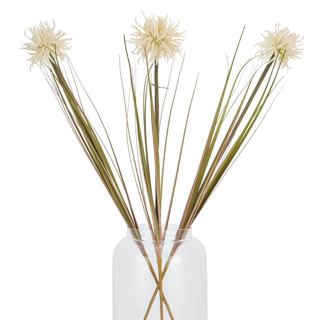 Cream Aster Spider Chrysanthemum Stem 80 cm
