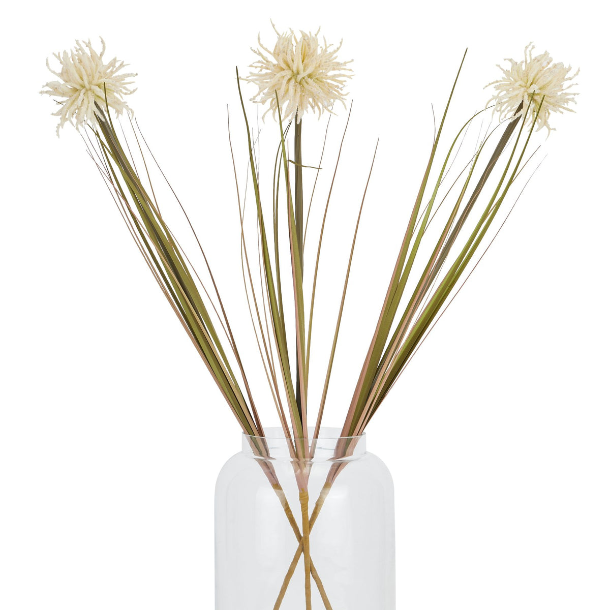Cream Aster Spider Chrysanthemum Stem 80 cm