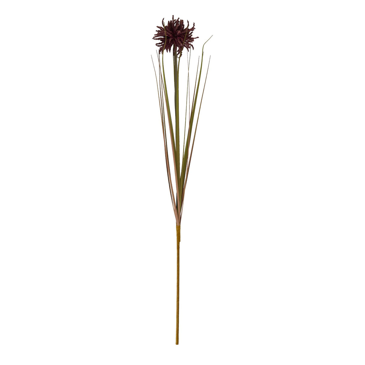 Burgundy Aster Spider Chrysanthemum Stem 80 cm