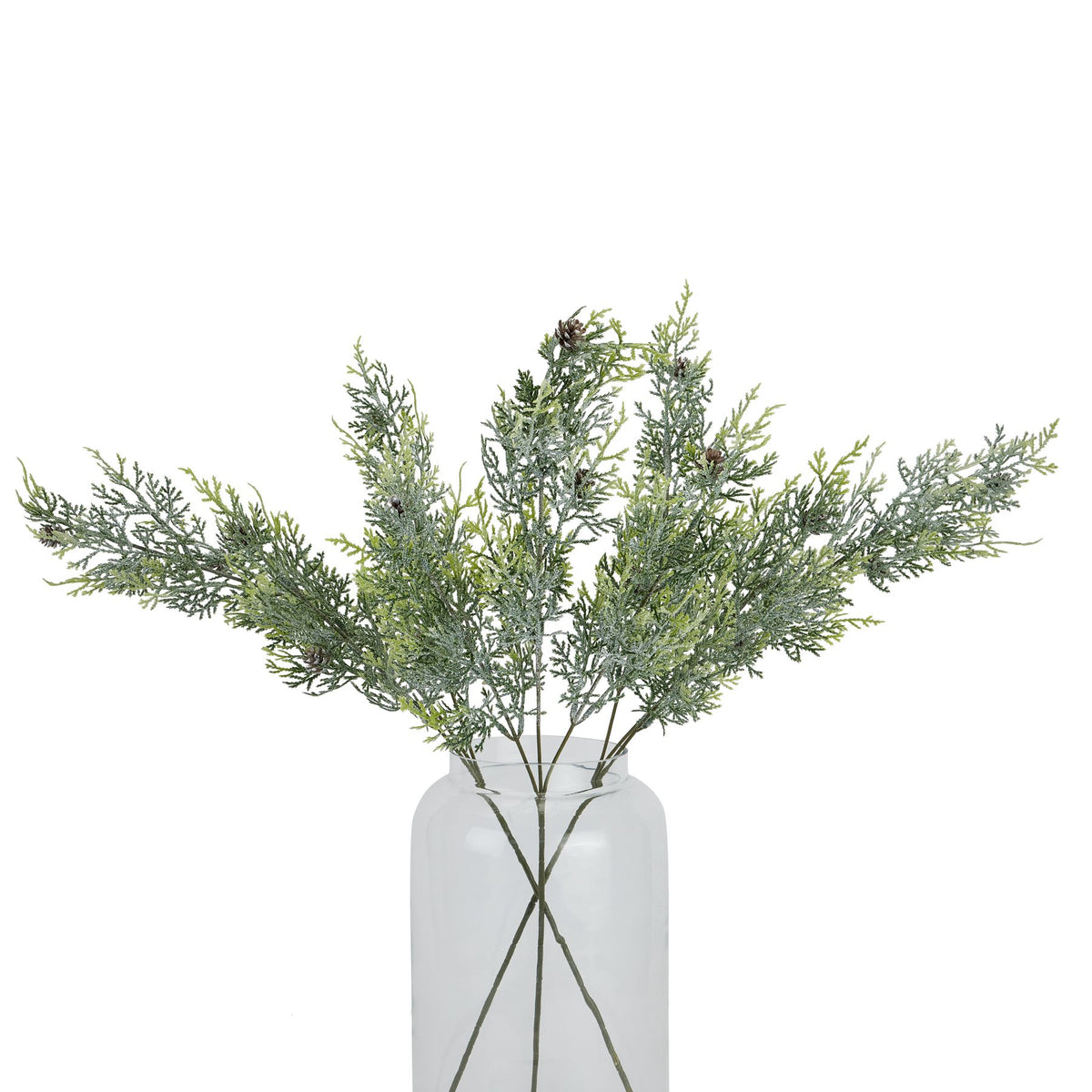 Frosted Pine Tall Stem With Pinecones 77 cm