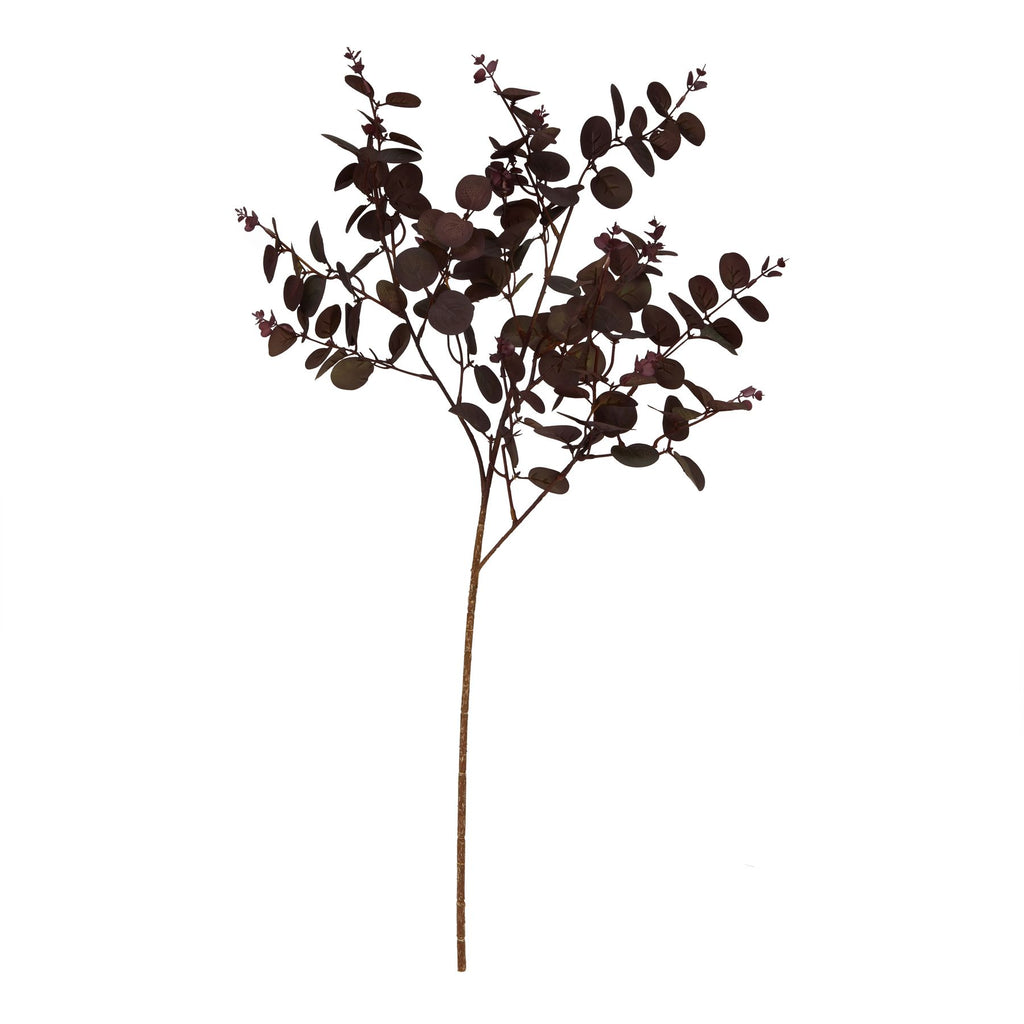 Burgundy Eucalyptus Bunch 75 cm