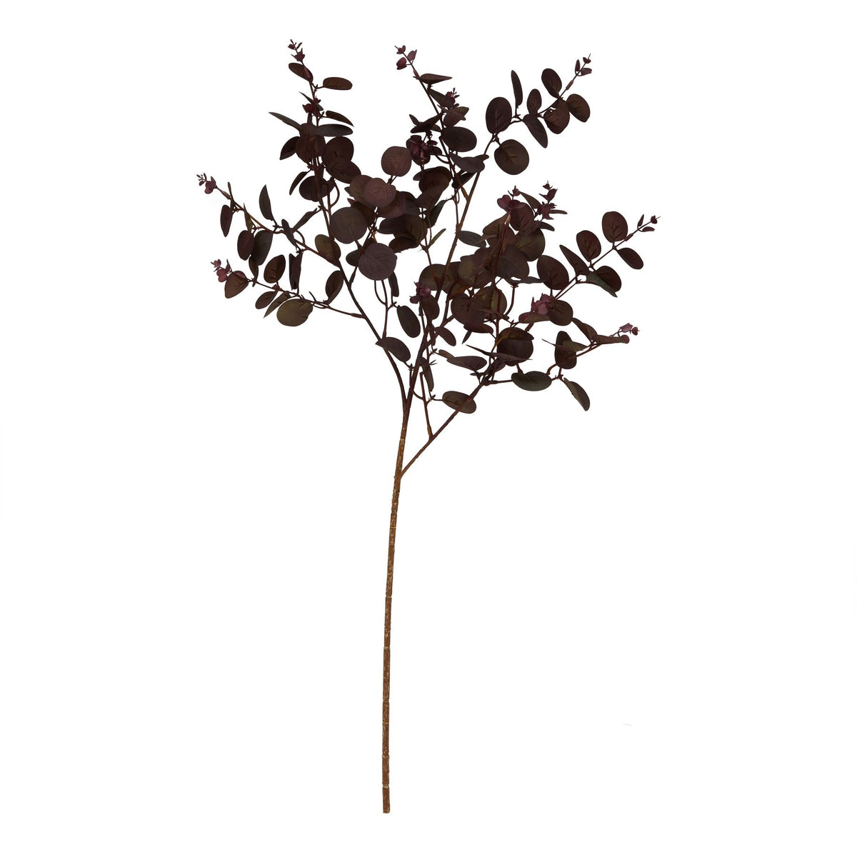 Burgundy Eucalyptus Bunch 75 cm