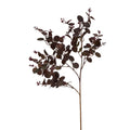 Burgundy Eucalyptus Bunch 75 cm
