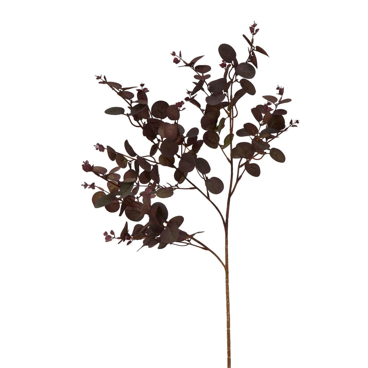 Burgundy Eucalyptus Bunch 75 cm