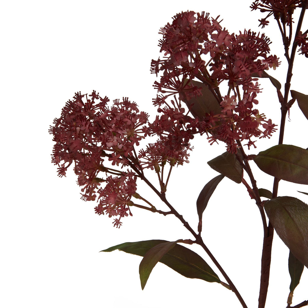 Medium Burgundy Smokebush Stem 79 cm