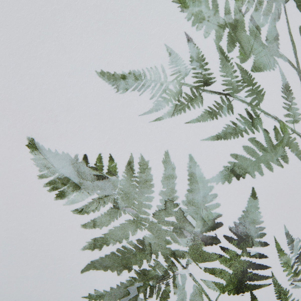 Watercolour Bracken Fern In Washed Wood Frame 60 cm