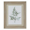 Watercolour Bracken Fern In Washed Wood Frame 60 cm
