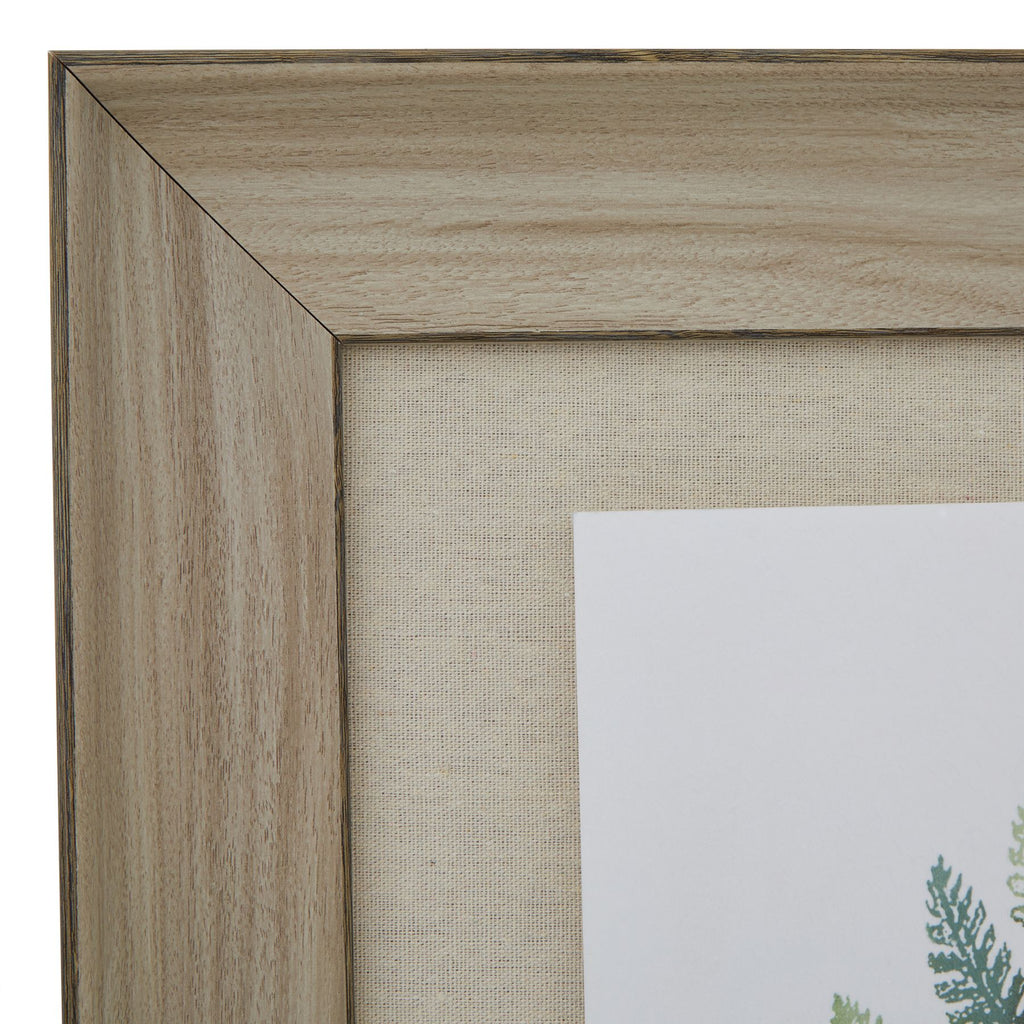 Watercolour Fern Duo In Washed Wood Frame 60 cm