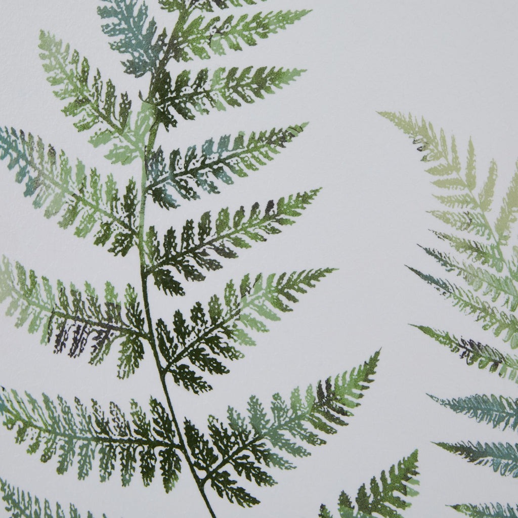 Watercolour Fern Duo In Washed Wood Frame 60 cm