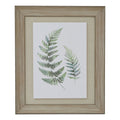 Watercolour Fern Duo In Washed Wood Frame 60 cm