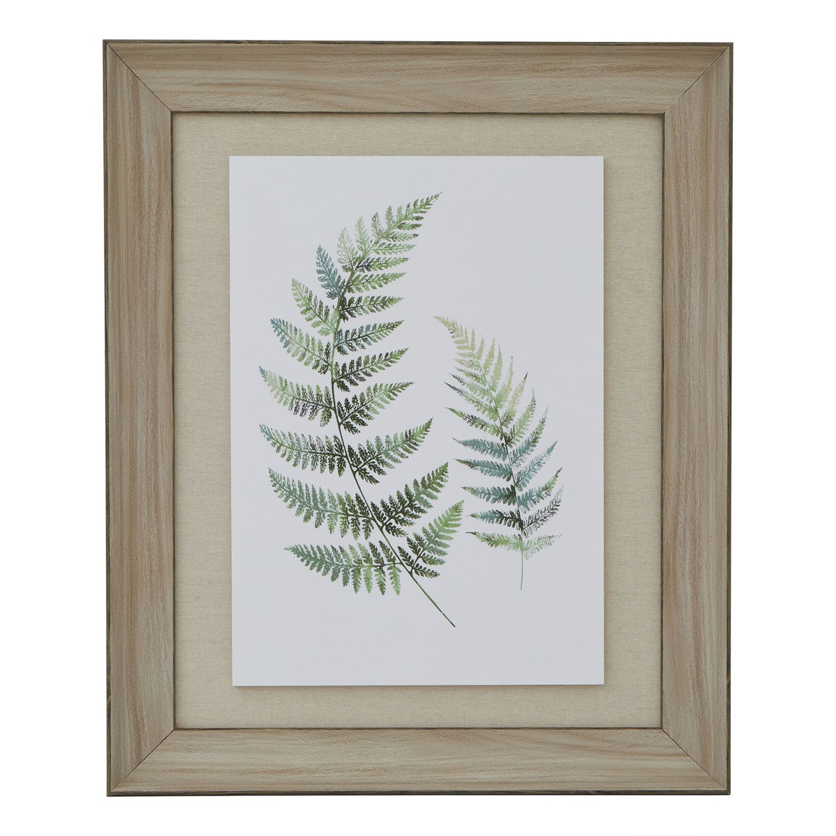 Watercolour Fern Duo In Washed Wood Frame 60 cm