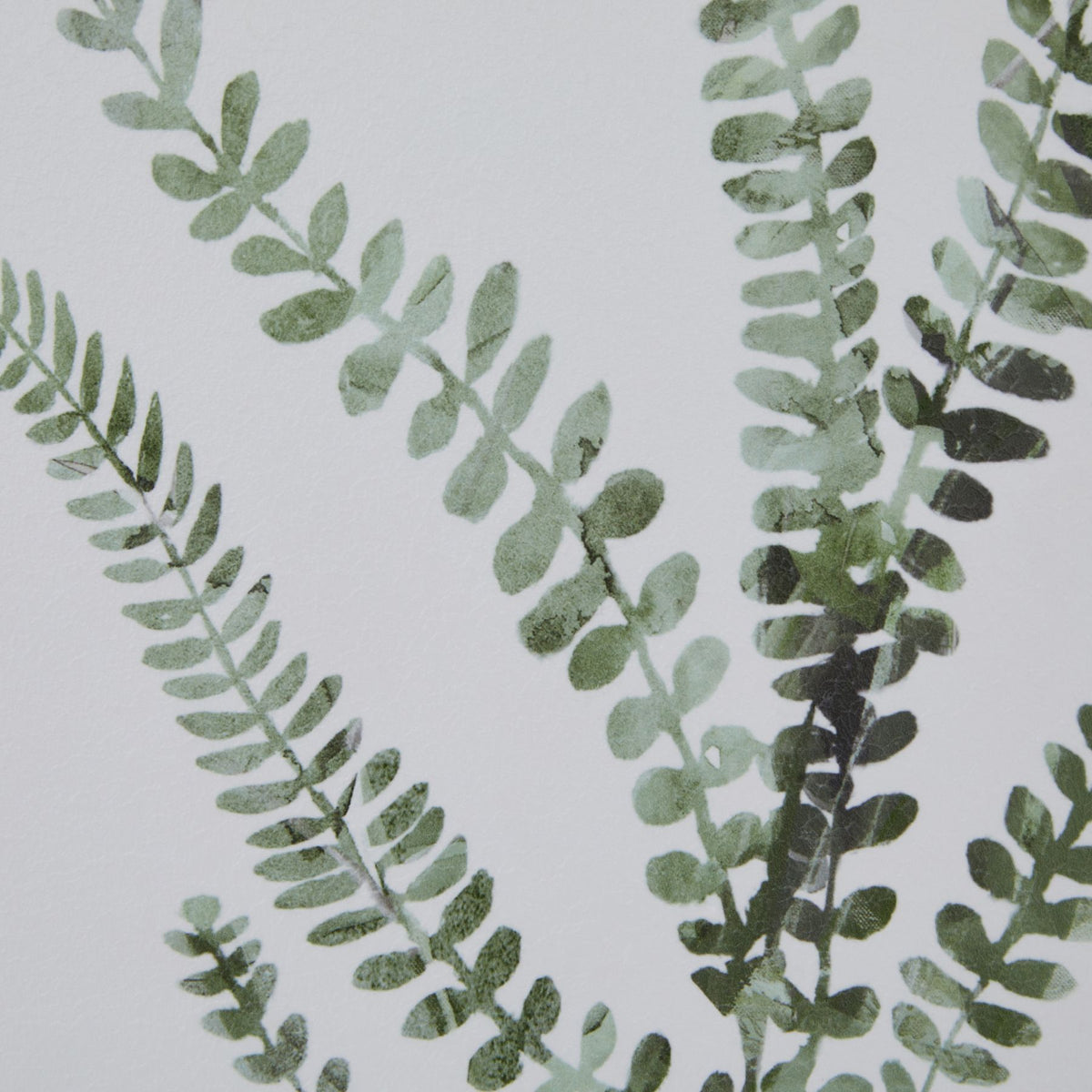 Watercolour Delicate Fern In Washed Wood Frame 60 cm