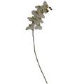 Tall White Butterfly Orchid Stem 103 cm