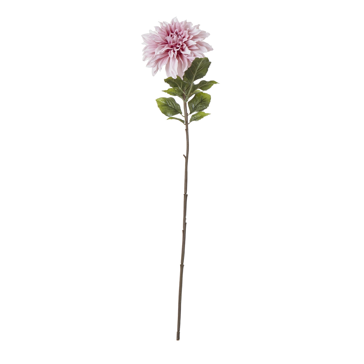 The Natural Garden Collection Pink Dahlia 54 cm