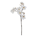 The Natural Garden Collection White Magnolia Stem 86 cm