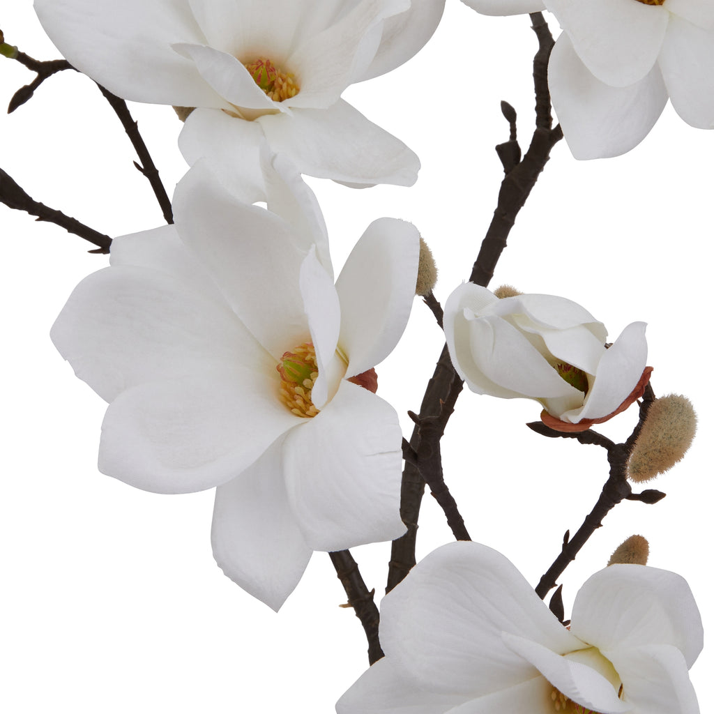 The Natural Garden Collection White Magnolia Stem 86 cm
