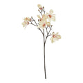 The Natural Garden Collection Pale Apricot Magnolia Stem 86 cm