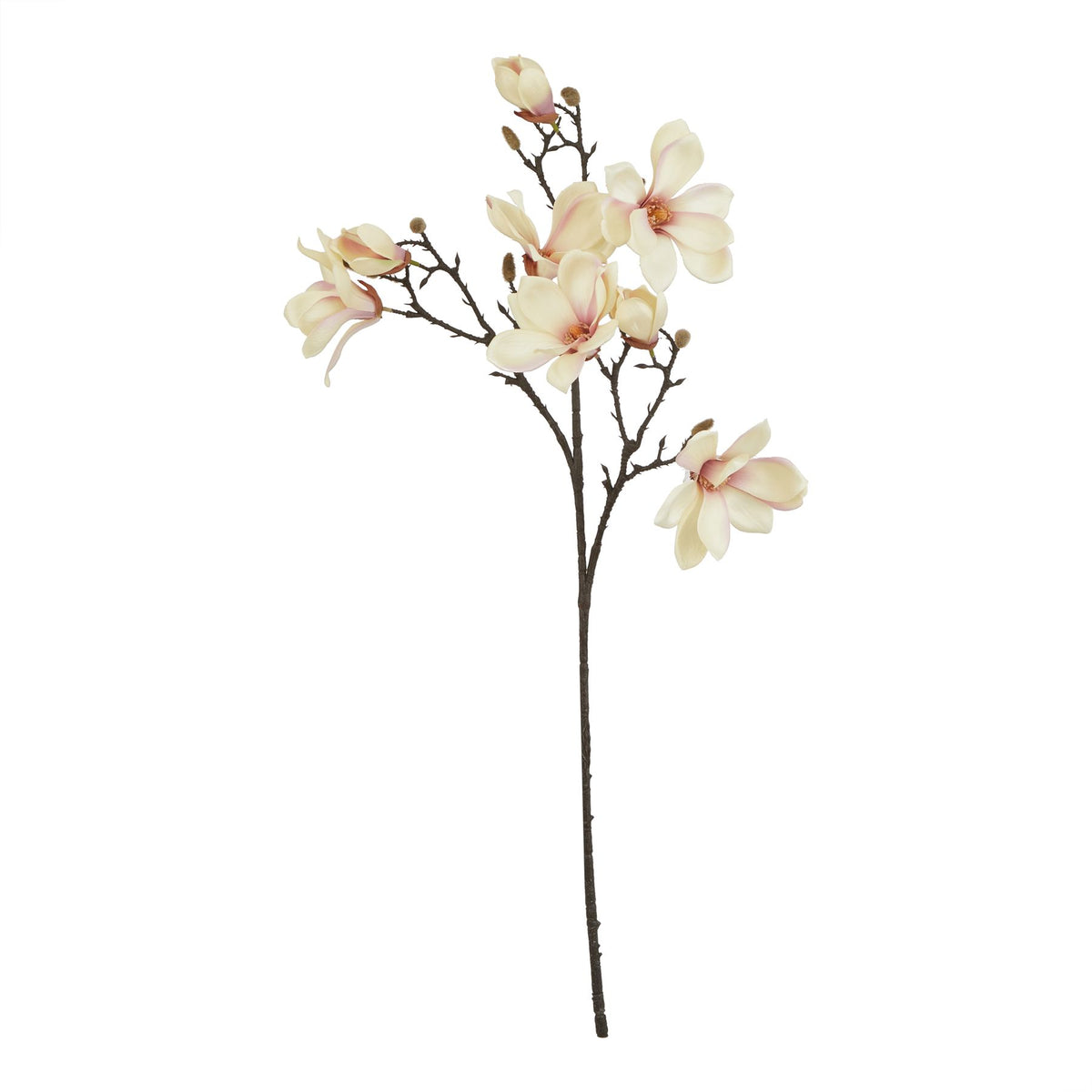 The Natural Garden Collection Pale Apricot Magnolia Stem 86 cm
